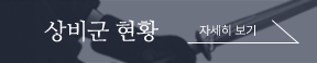 상비군 현황