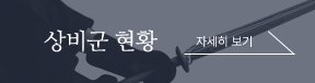 상비군 현황